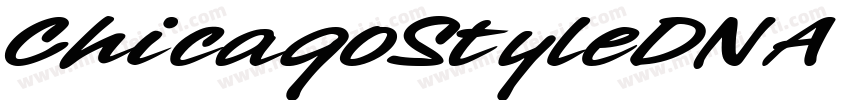 ChicagoStyleDNA Regular字体转换